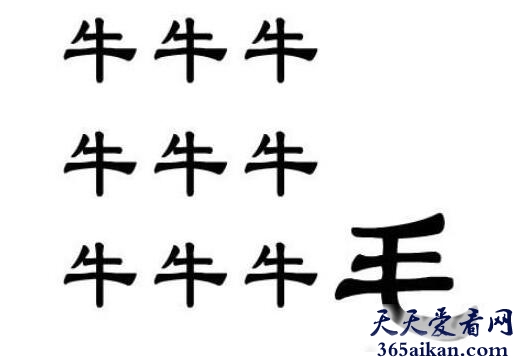九牛一毛1.jpg
