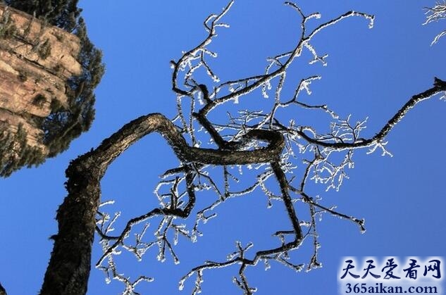 傲然屹立1.jpg