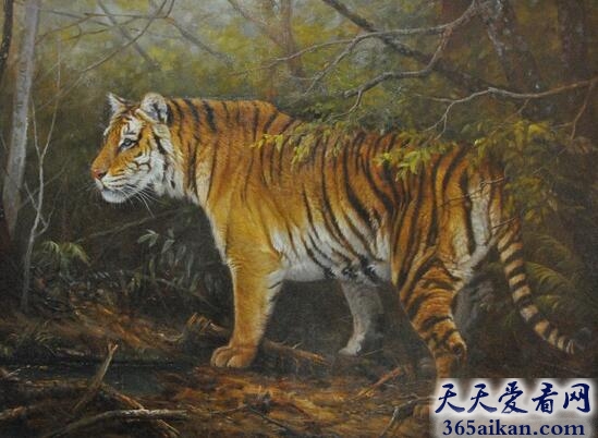 放虎归山的近义词有哪些？放虎归山的故事介绍