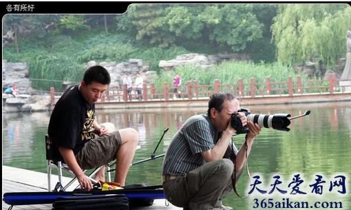 各有所好1.jpg