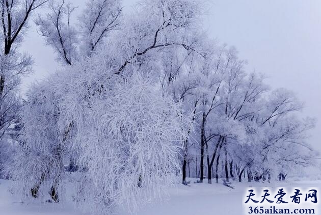 粉妆玉砌的近义词有哪些？粉妆玉砌的意思介绍