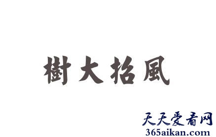 树大招风.jpg