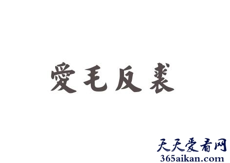 爱毛反裘的含义是什么？爱毛反裘的典故介绍