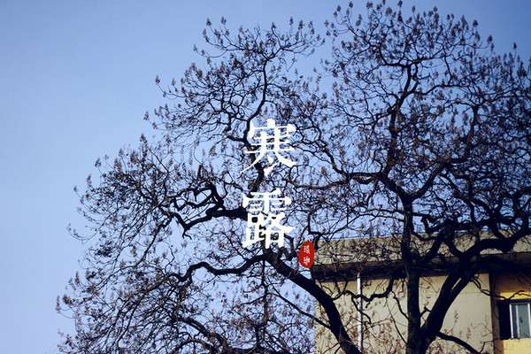 解析：寒露节气之“寒露风”