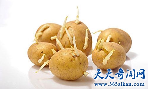 细数容易中毒的十种常见食品，吃货需谨慎！