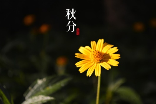 秋分如何养生？秋分节气养生的四个小贴士