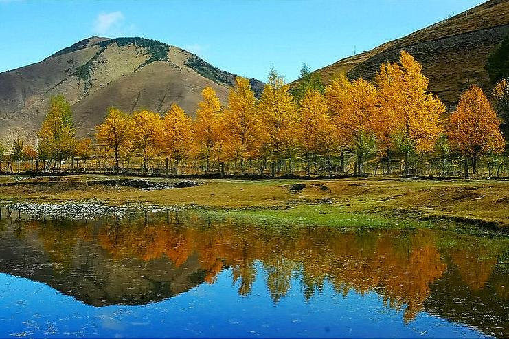 秋天霜降节气图片赏析