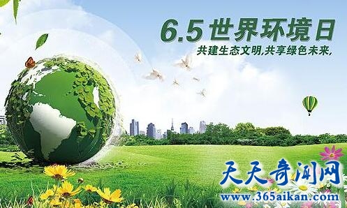 世界环境日的由来是怎么样的？世界环境日中国在行动！