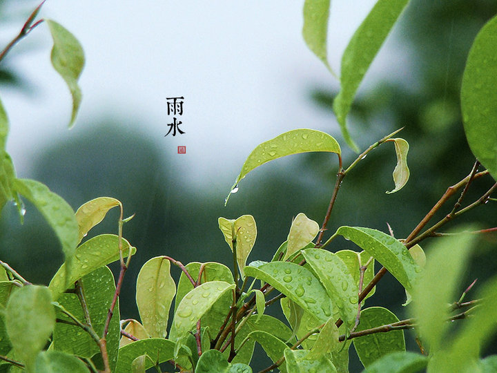 关于雨水节气的祝福语有哪些？