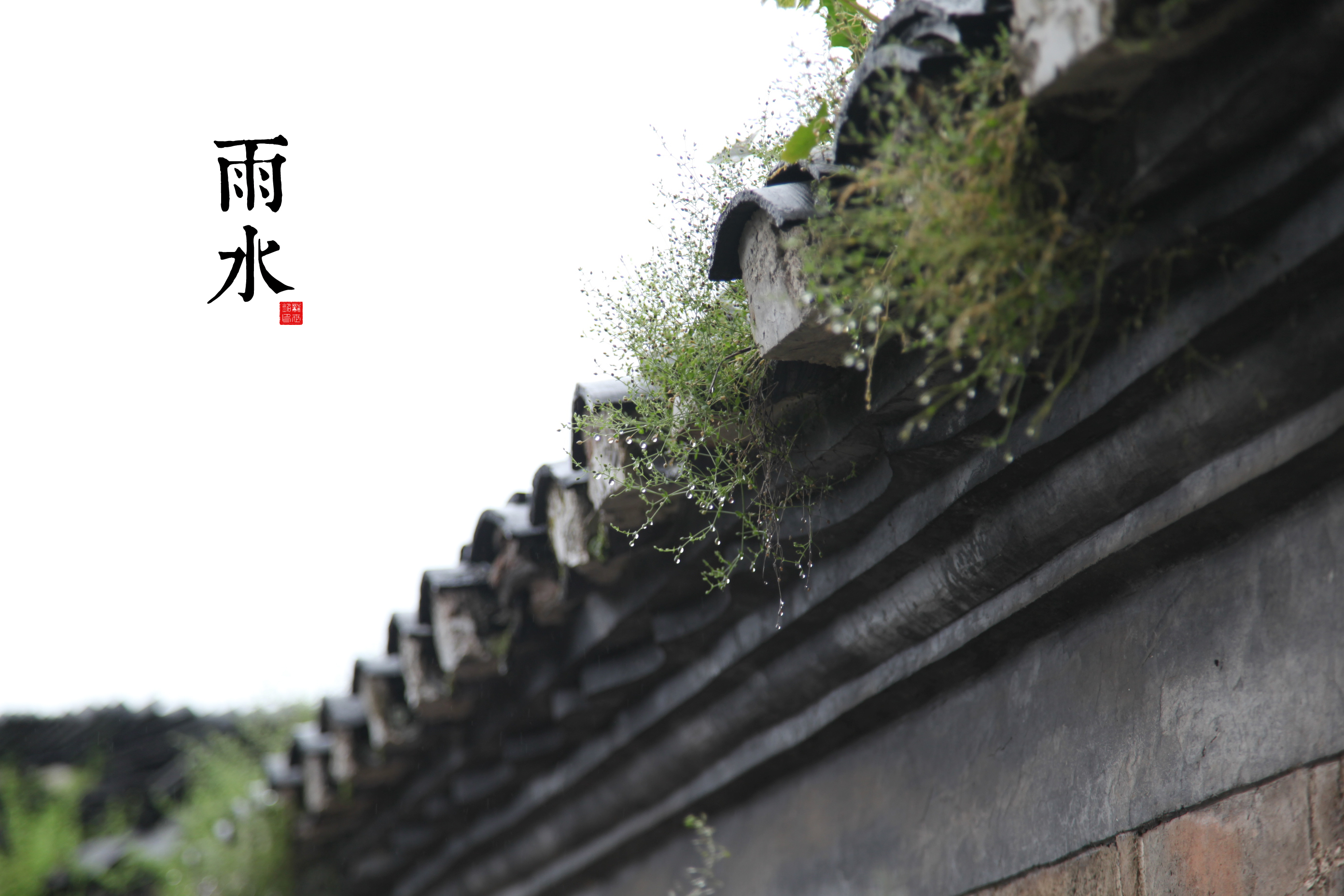 浅析雨水节气的由来和天气特点