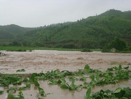 梦见下雨发洪水代表着什么意思？.jpg