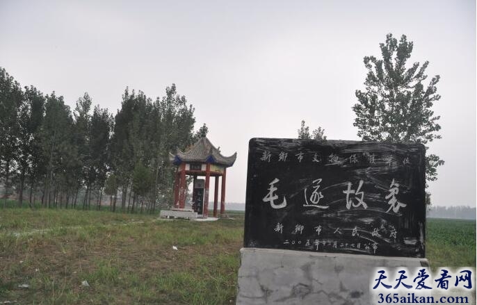 毛遂13.jpg