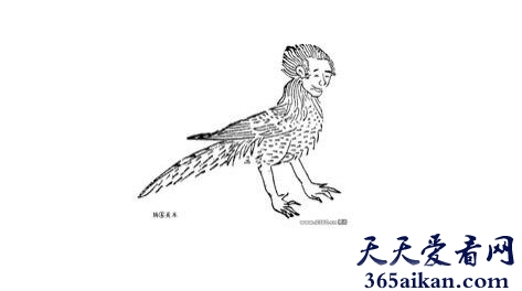 丹朱化鸟化的是什么鸟,丹朱化鸟的故事
