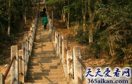 朱权5.jpg