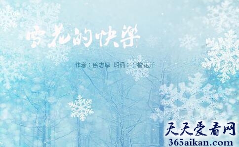 徐志摩的爱情诗《偶然》赏析，徐志摩偶然简介