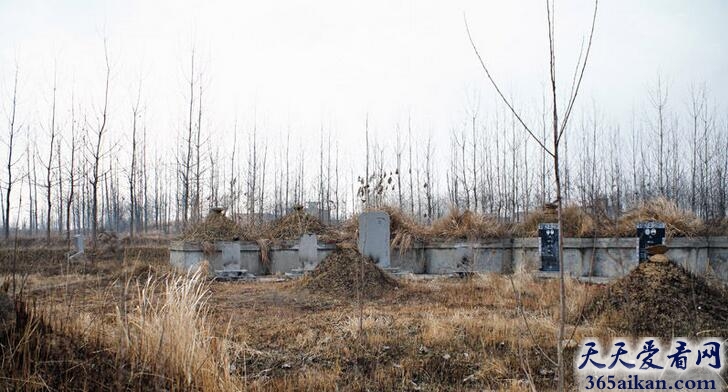 王亚樵墓在什么地方,王亚樵墓简介