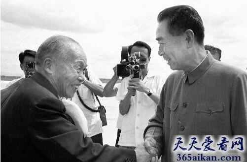 李宗仁回国后的遭遇，李宗仁为什么回国？