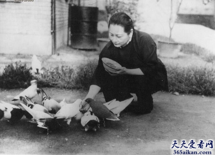 宋庆龄的生前喜好是什么？宋庆龄的轶事典故