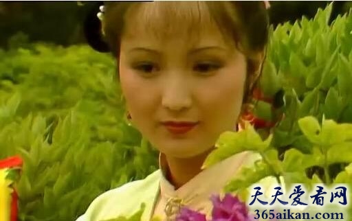 平儿的镯子找到了没有？谁偷了平儿的镯子？