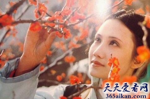 妙玉判词写的什么？妙玉判词解析