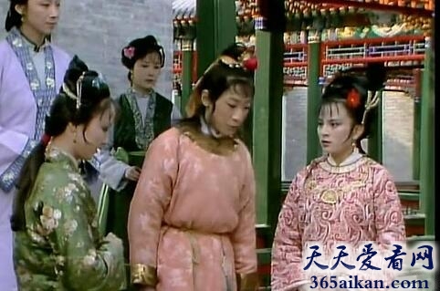 贾环的故事，贾环简介资料