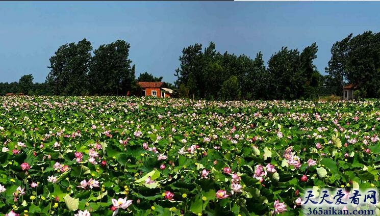 黄盖湖在什么地方,黄盖湖的由来,黄盖湖有哪些景点