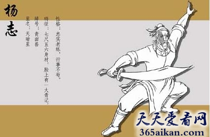 《水浒传》中杨志的排名是多少？杨志是怎么排上名的?