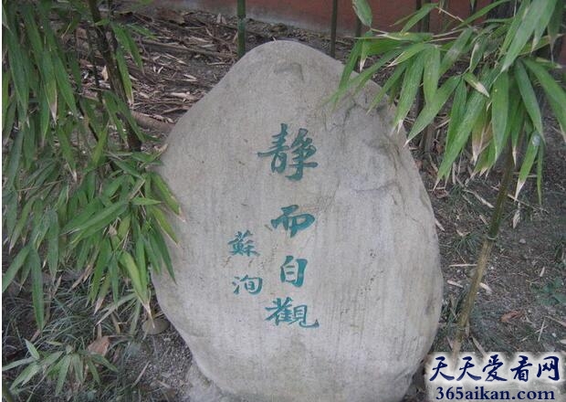 苏洵《张益州画像记》