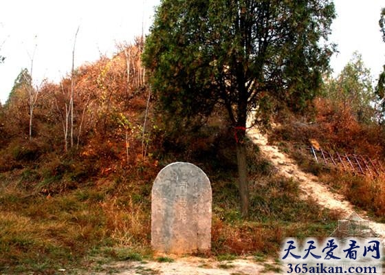 司马光墓在哪？司马光墓是怎样的？