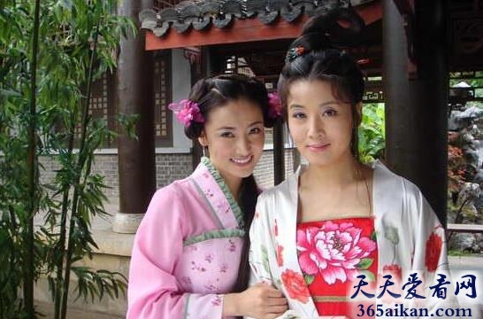 李清照电视剧：清风明月佳人电视剧简介