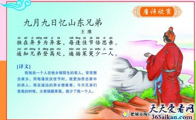 赏析：王维九月九日忆山东兄弟写的什么内容？