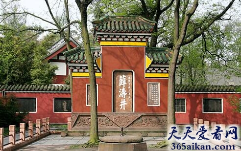 薛涛井1.jpg