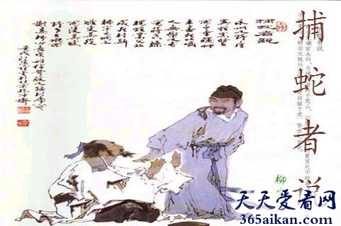 柳宗元《捕蛇者说》内容介绍,柳宗元《捕蛇者说》名家点评