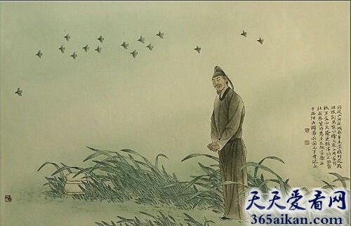 杜甫对后世有哪些影响,杜甫对后世的贡献有哪些