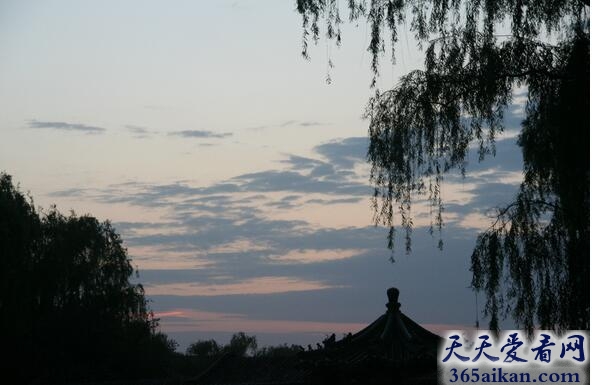 杜甫的《夏夜叹》内容介绍,杜甫的《夏夜叹》点评鉴赏