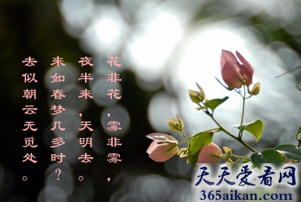 白居易花非花.jpg