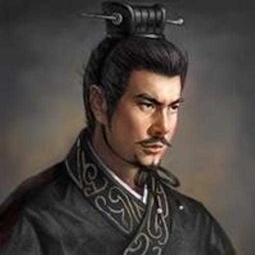 司马懿和他儿子的故事：《司马昭定三国》