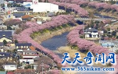 静冈县1.jpg