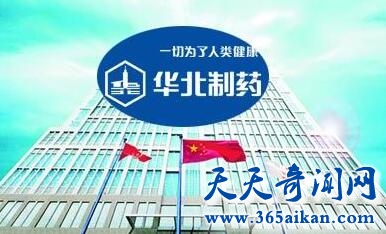 华北制药集团有限责任公司1.jpg