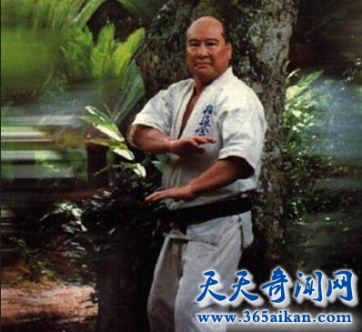 世界七大武术家都有谁？中国武术家李小龙榜上有名！