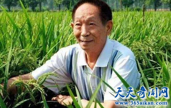 中国最伟大的科学家Top10，数学家华罗庚领衔！