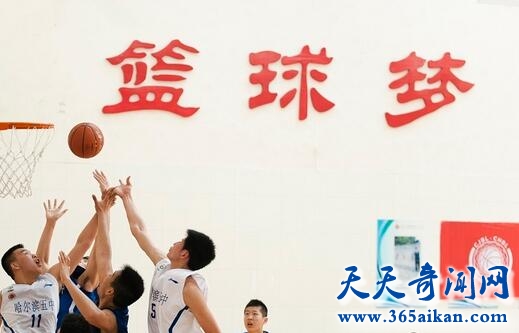 《篮球逐风梦》1.jpg