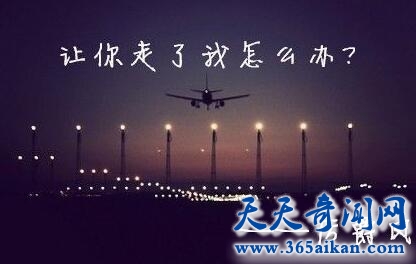 《总裁的33日索情》1.jpg