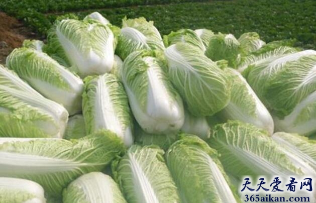 细数治疗皮肤过敏小窍门有哪些？让您过一个舒适的秋冬！