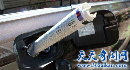 细数细菌的十大好处有哪些？致病的细菌竟然还有这么多益处！