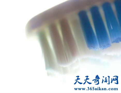 细数细菌的十大好处有哪些？致病的细菌竟然还有这么多益处！