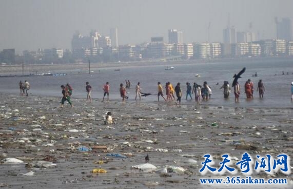 盘点世界十大最危险的沙滩是哪些？美丽的风景和死亡的边缘！