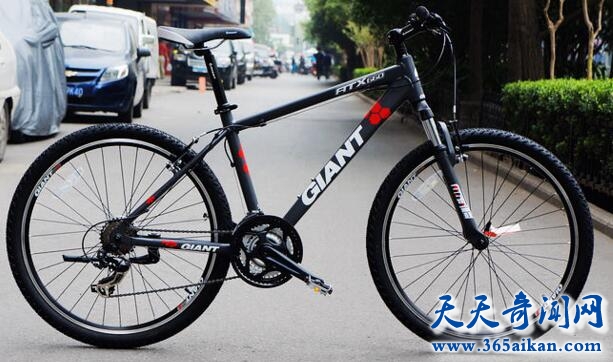 细数中国十大山地自行车品牌是哪些？