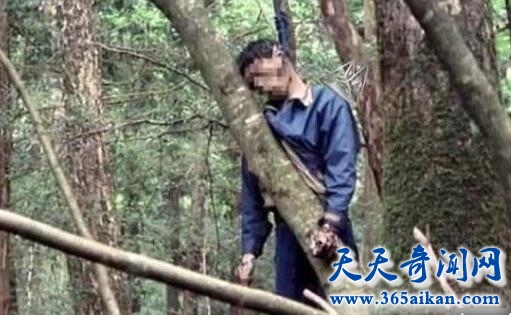 青木原树海.jpg
