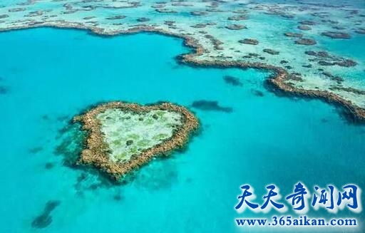 QQ截图20170411115104.jpg